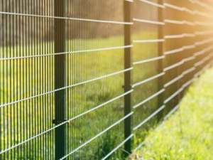 Wire-Mesh-Security_Image